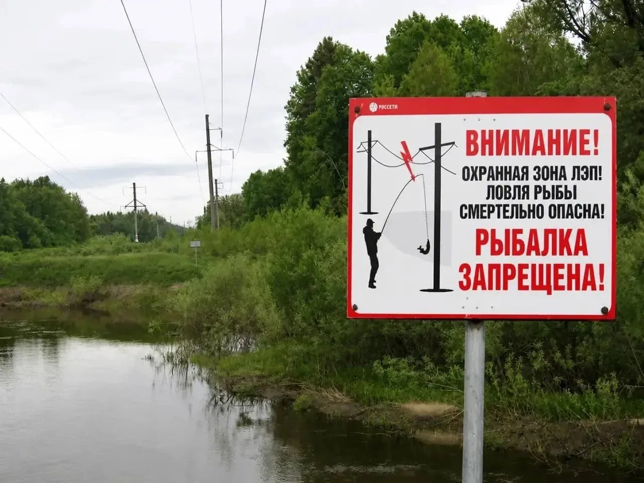 С наступлением теплого сезона энергетики «Россети Центр» и «Россети Центр и Приволжье» ...