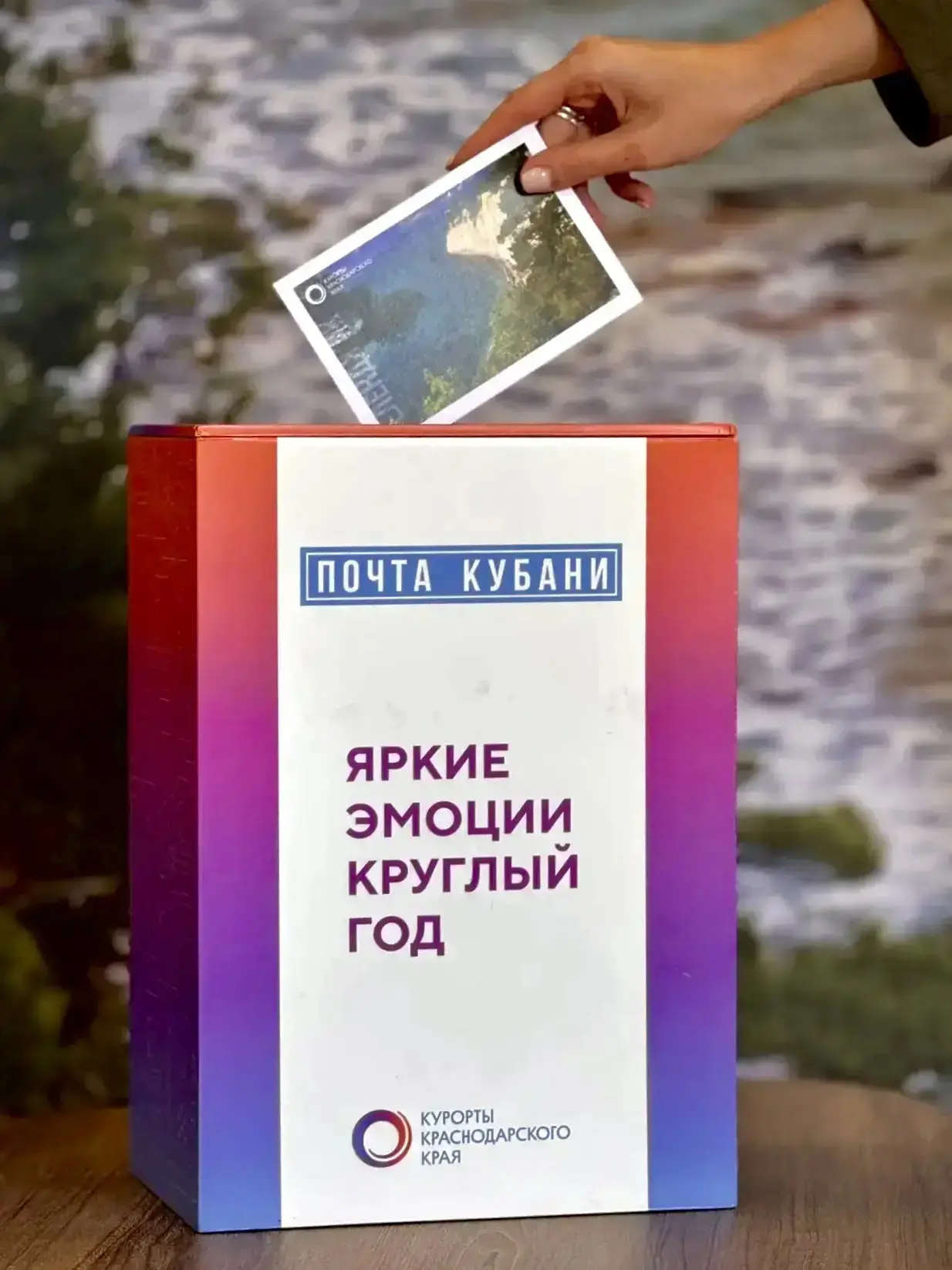 📮В Туристско-информационном центре Краснодарского края отметили День рождения почтовой...