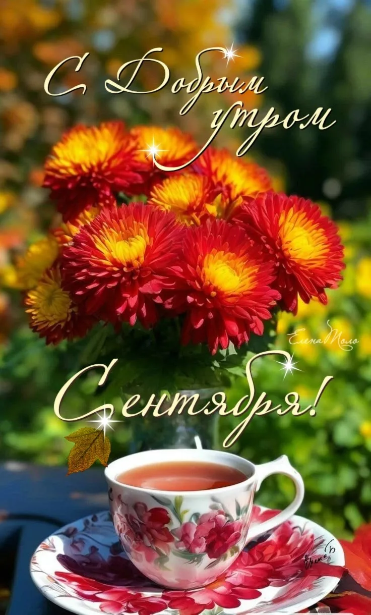 🥰Открытки и поздравления!