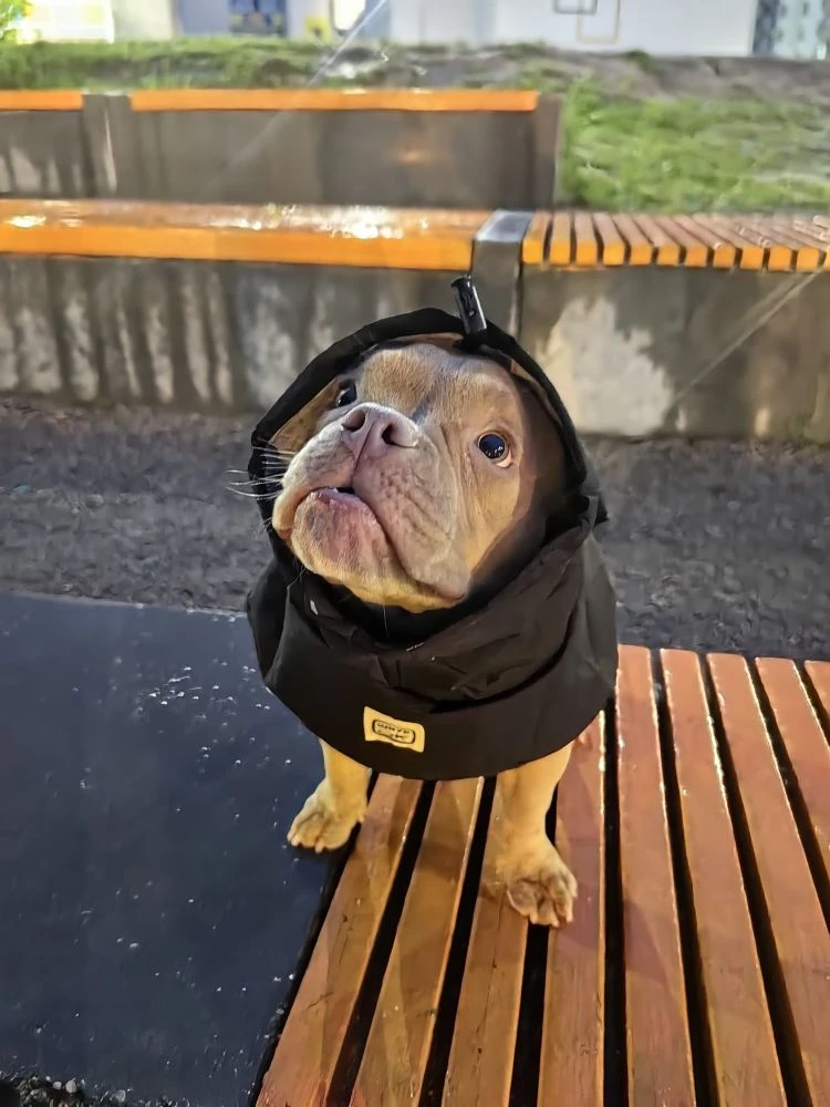 А можно уже пожалуйста лето включить🙏, а не вот это вот всё ☔️💦💨🥶