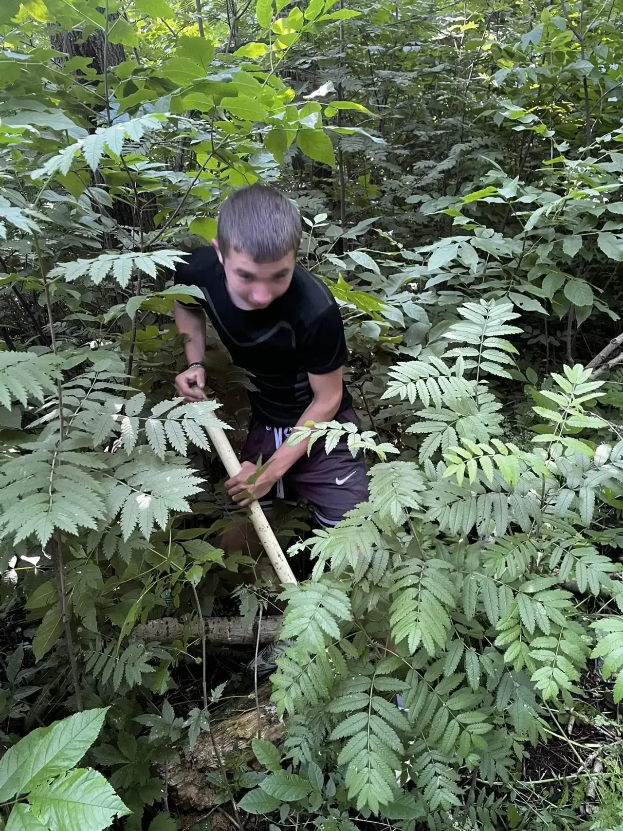 🌿 ВЕСТИ ИЗ ЛАГЕРЯ ТРУДА И ОТДЫХА «ЗЕЛЕНЫЙ ДОЗОР» 🌿

Четыре дня пролетели незаметно, но мы успели с