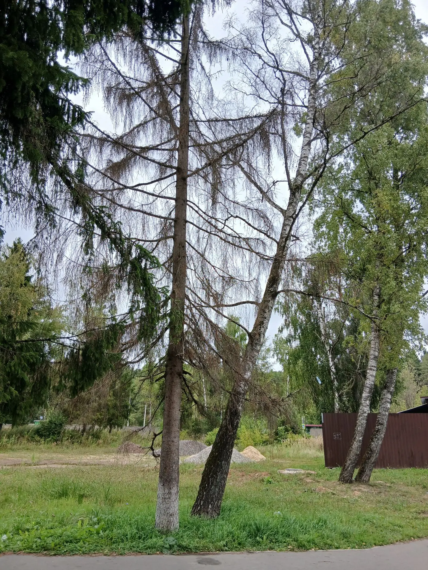 🍂УСОХЛИ...