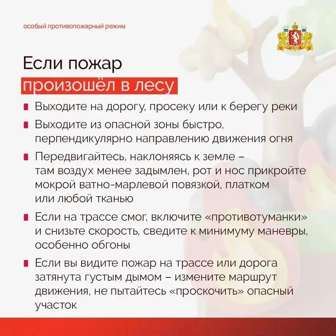 📛 БУДЬТЕ ОСТОРОЖНЫ С ОГНЕМ!  В Свердловской области действует особый противопожарный режим   Он пред