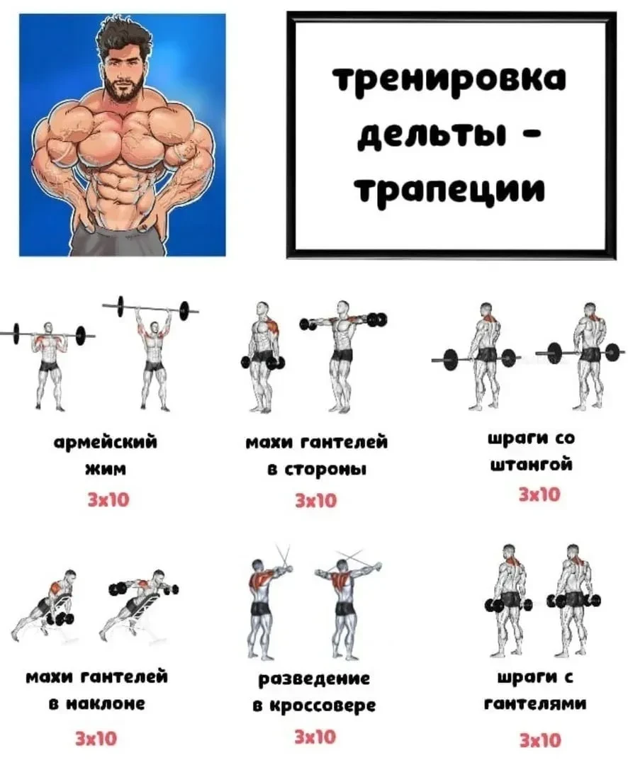 Подпишись на программы