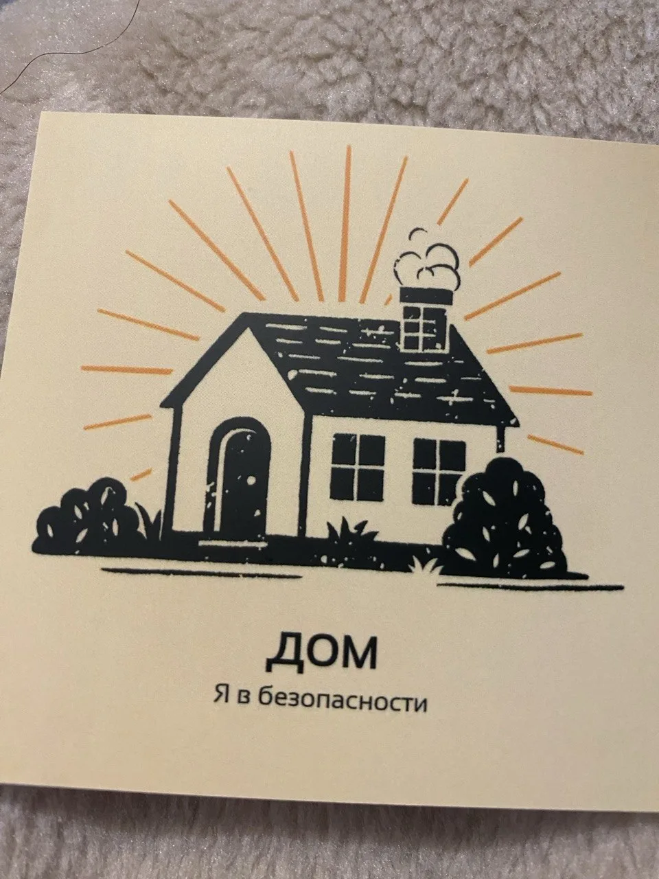 «Дизайн или зоотехника?» Как маршрут в профессию выстроился на последних минутах игры 🧭