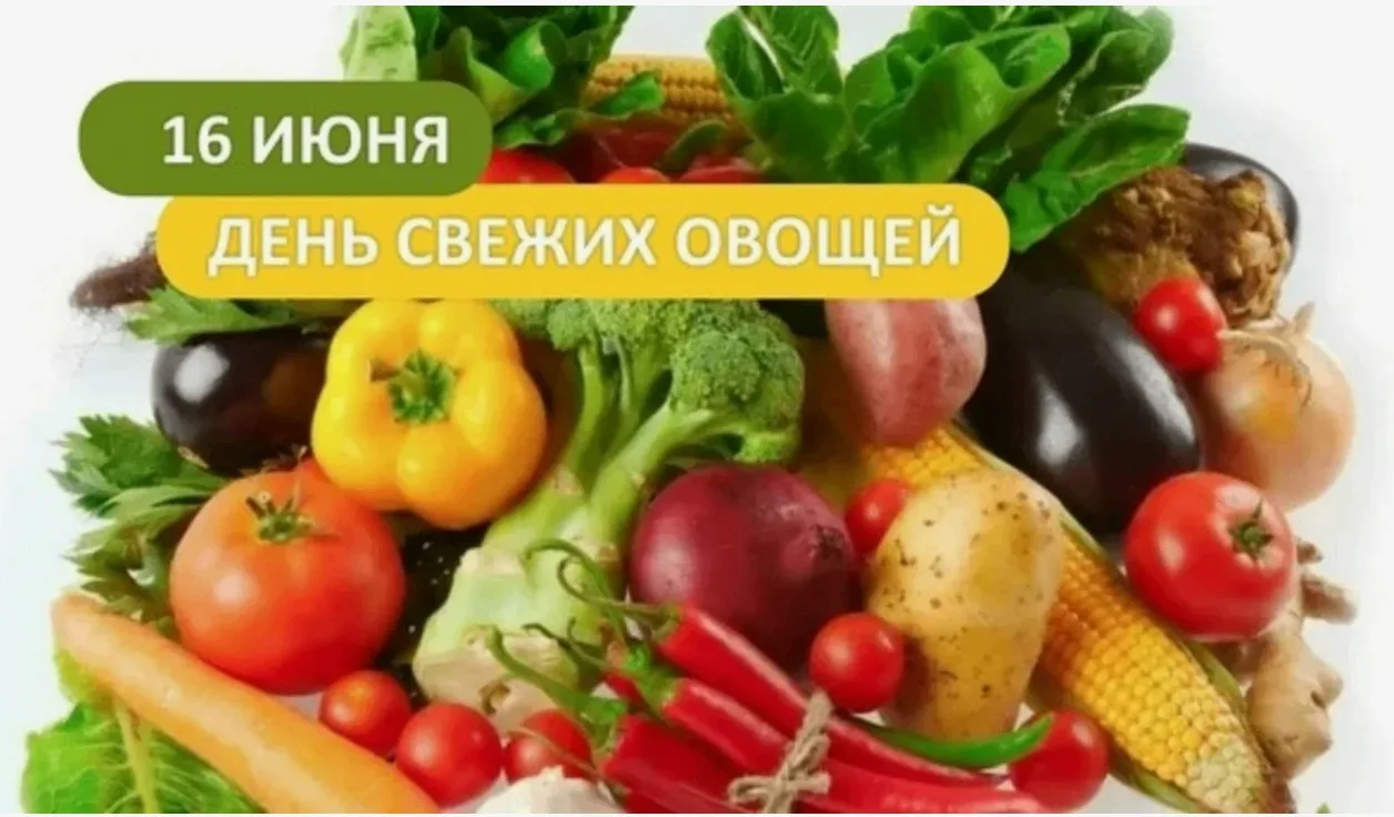 🥬 16 июня — День свежих овощей! 🍅Лето дарит нам настоящий витаминный бум: сочные помидоры, хрустящ