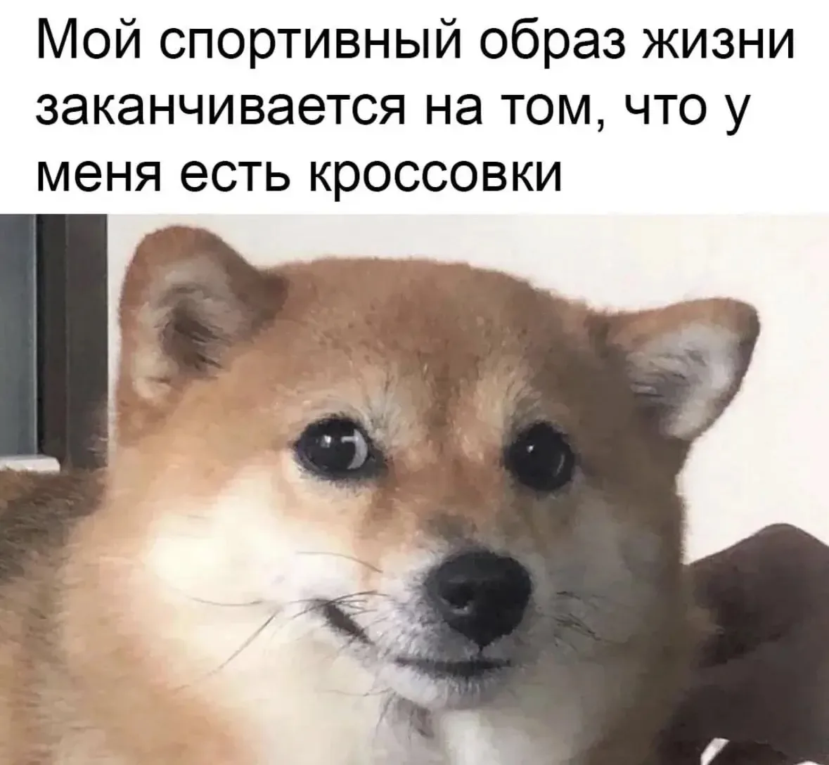 И то не спортивные

🍷 Наш бот знакомств  - max/ЗНАКОМСТВА
🍑Анонимный чат - max/АНОНЧАТ