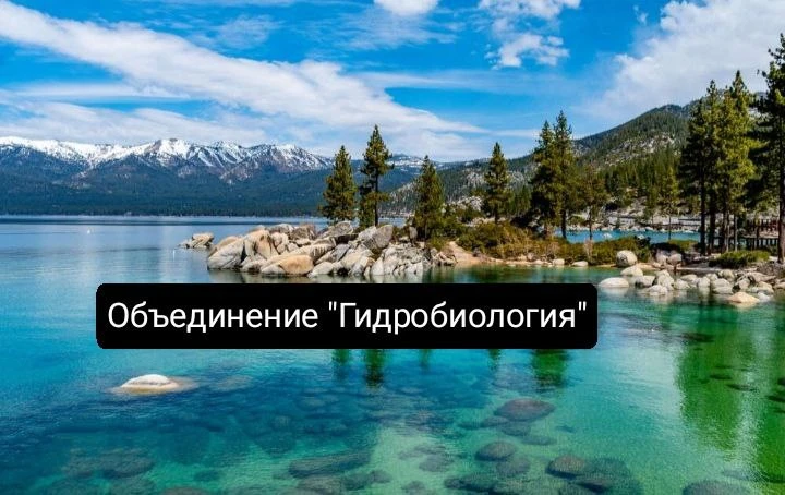 🌊 Приглашаем в объединение "Гидробиология"! 🌊