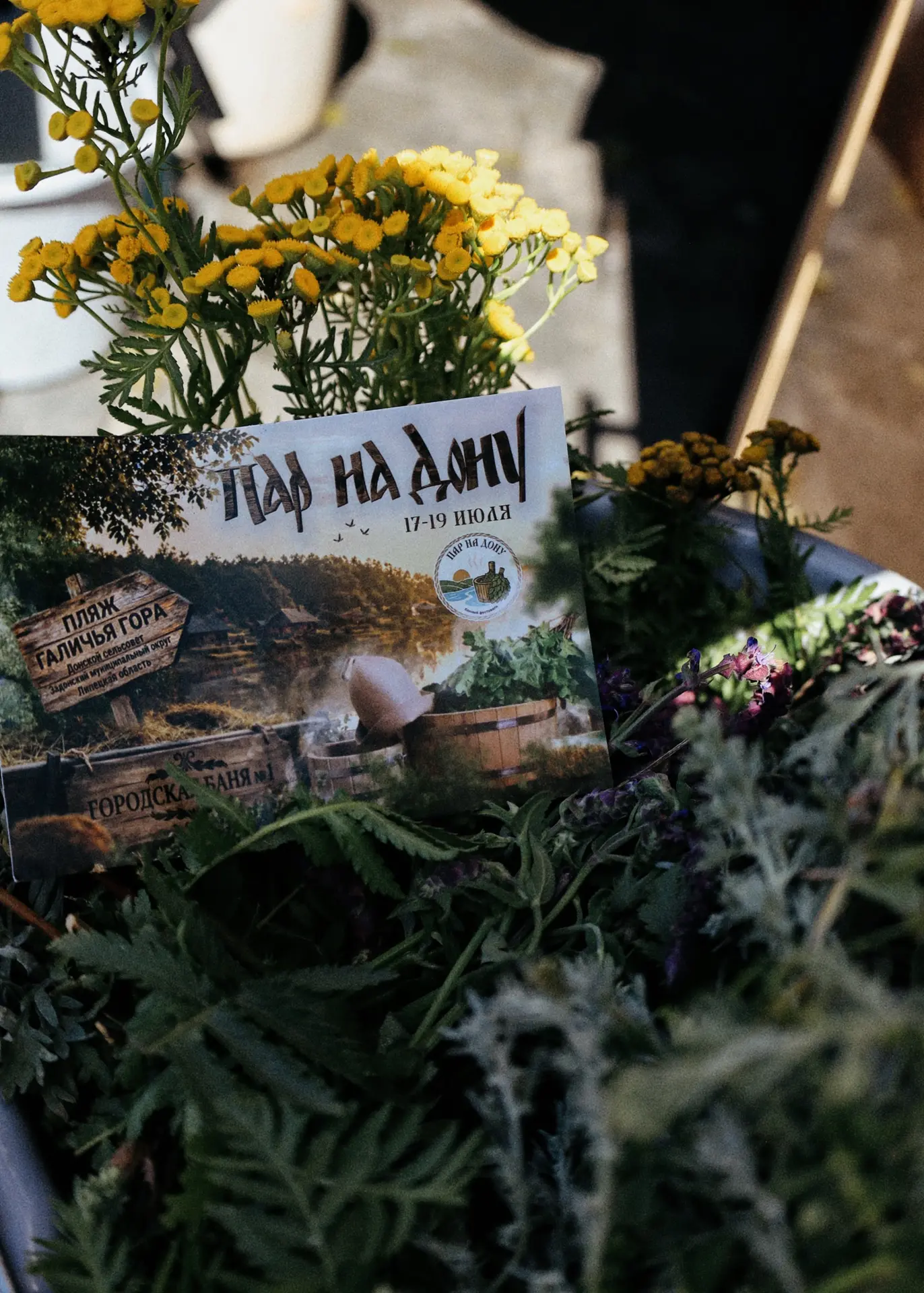 Дон-батюшка, заповедник Галичья гора, аромат луговых трав и русская баня.

Идеальный сценарий летних