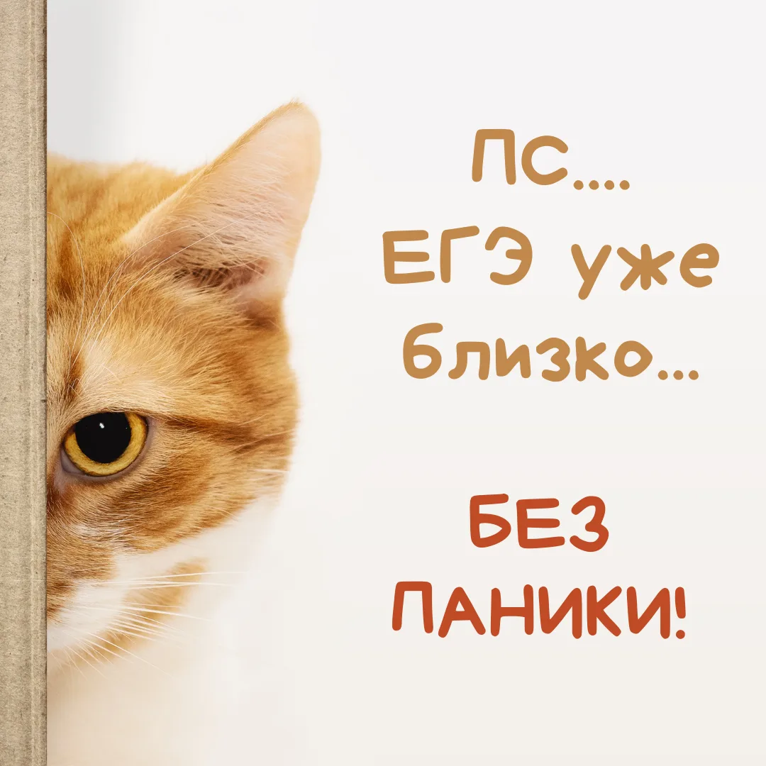 ГЛАВНЫЙ СЕКРЕТ УСПЕХА — ЭТО ПЛАН Совсем немного отделяют наших девятиклассников и одиннадцатиклассни
