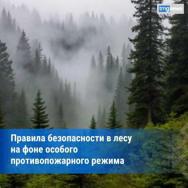 ⚡В Туве напомнили о правилах безопасности в лесу на фоне особого противопожарного режима