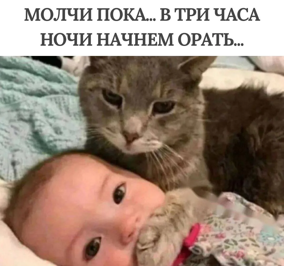 😅По плану действуют…

🧂Соль | Юмор 👈 Не забудь подписаться👇