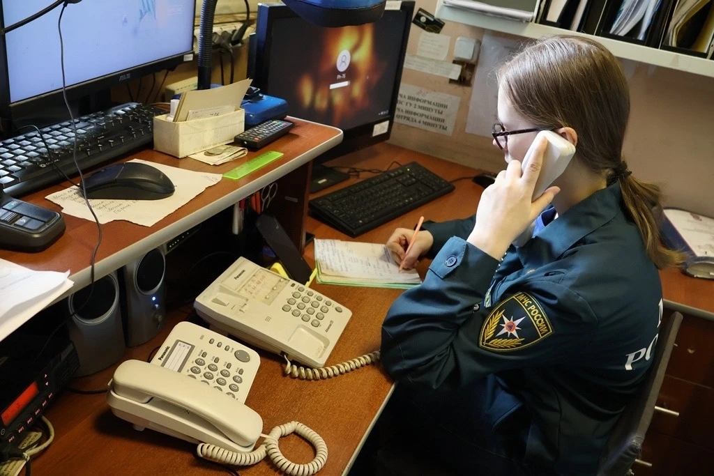 #ЛицаМЧС #СМИобМЧС  👨‍🚒Сквозь дым и пламя, спасая жизни: ясногорские огнеборцы отмечают профессионал