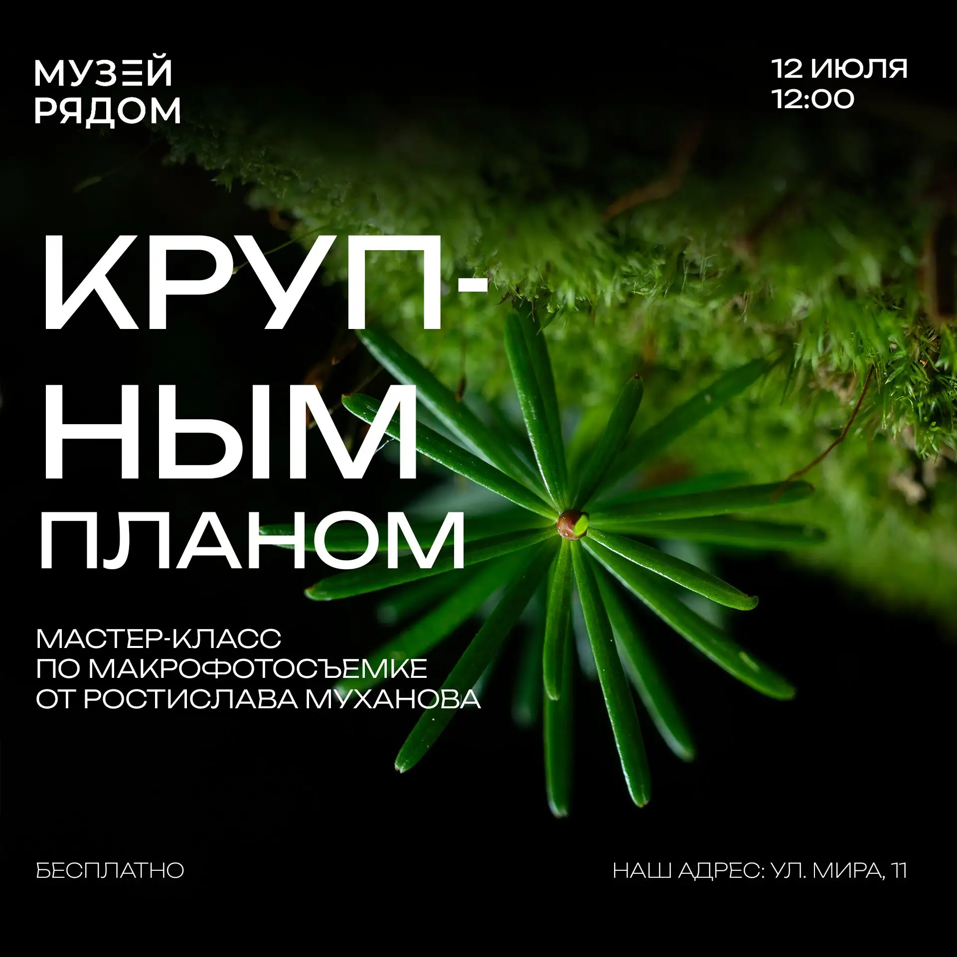 СТОП. Смотрите под ноги. 

Там, где мы обычно проходим мимо, начинается другой мир.

12 июля в 12:00