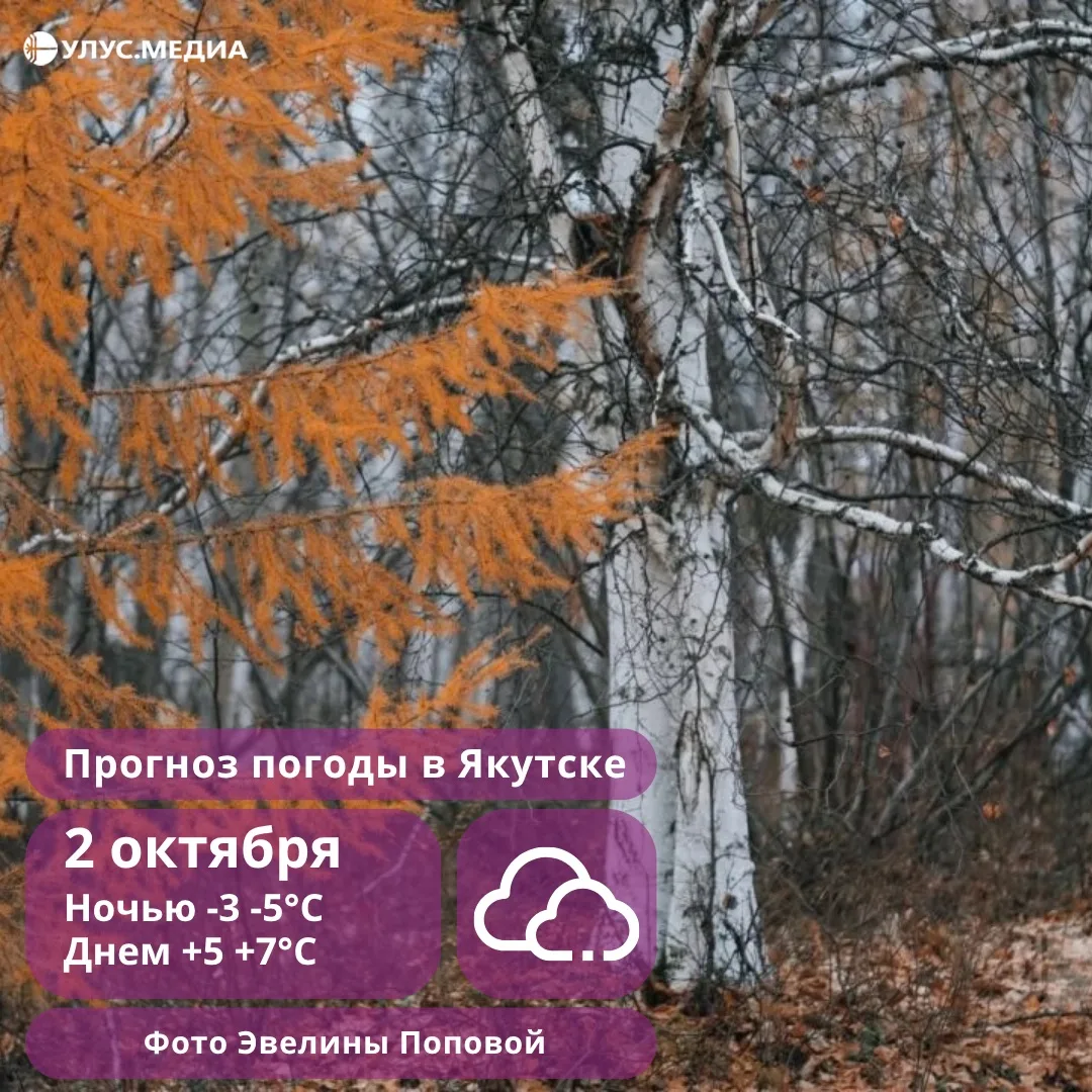 🌦️ Погода в Якутии 2 октября: штормовой ветер на западе и дожди с мокрым снегом в Якутске