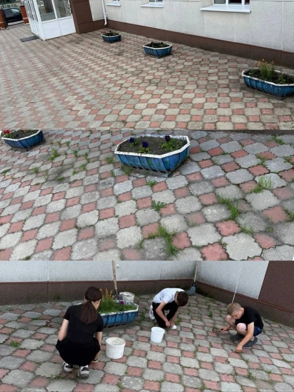 Мәктәп янындагы чәчәклекләрне тәртипкә китерү.