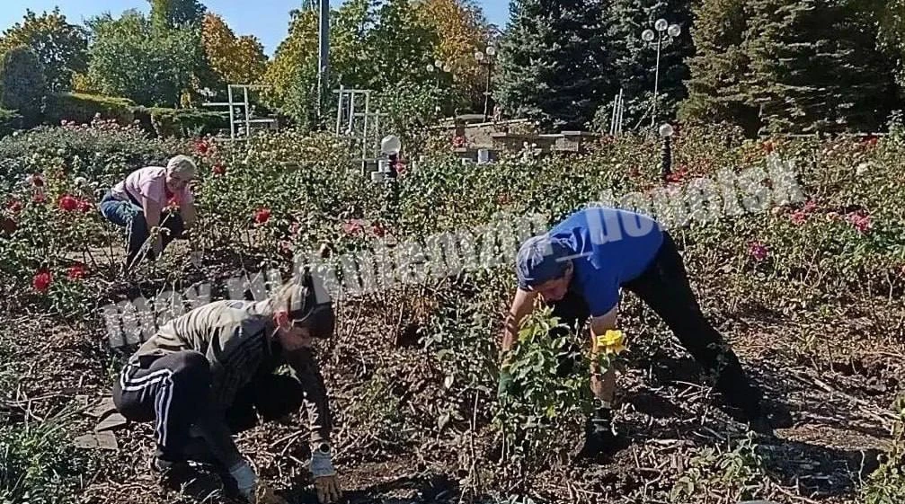 В парке им. Щербакова высадили сотни новых роз