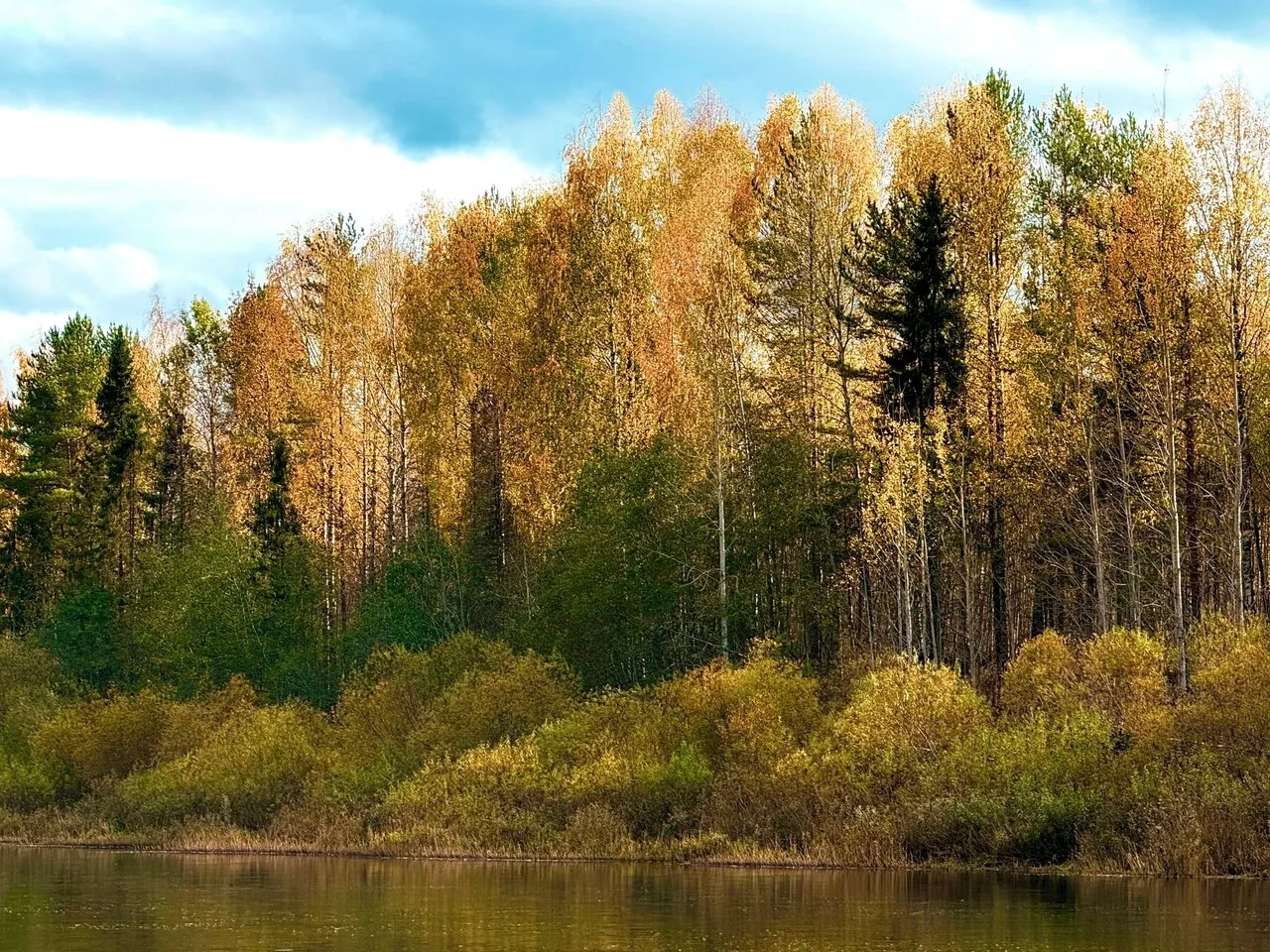 Осенние пейзажи Вельского округа 🍂