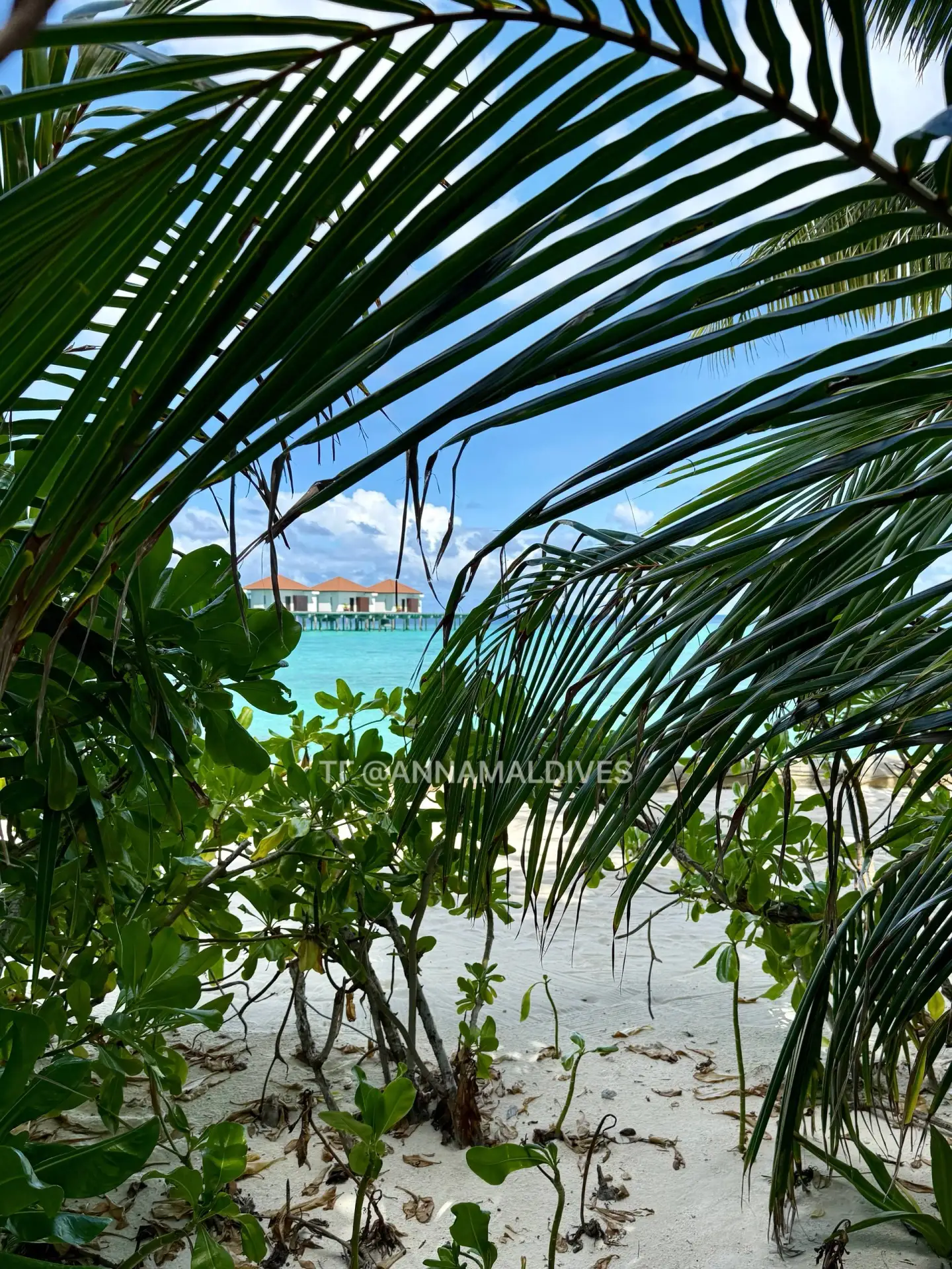Рассказываю про последний отель в этой поездке - Robinson Club Maldives 5*. Хоть я и ве...