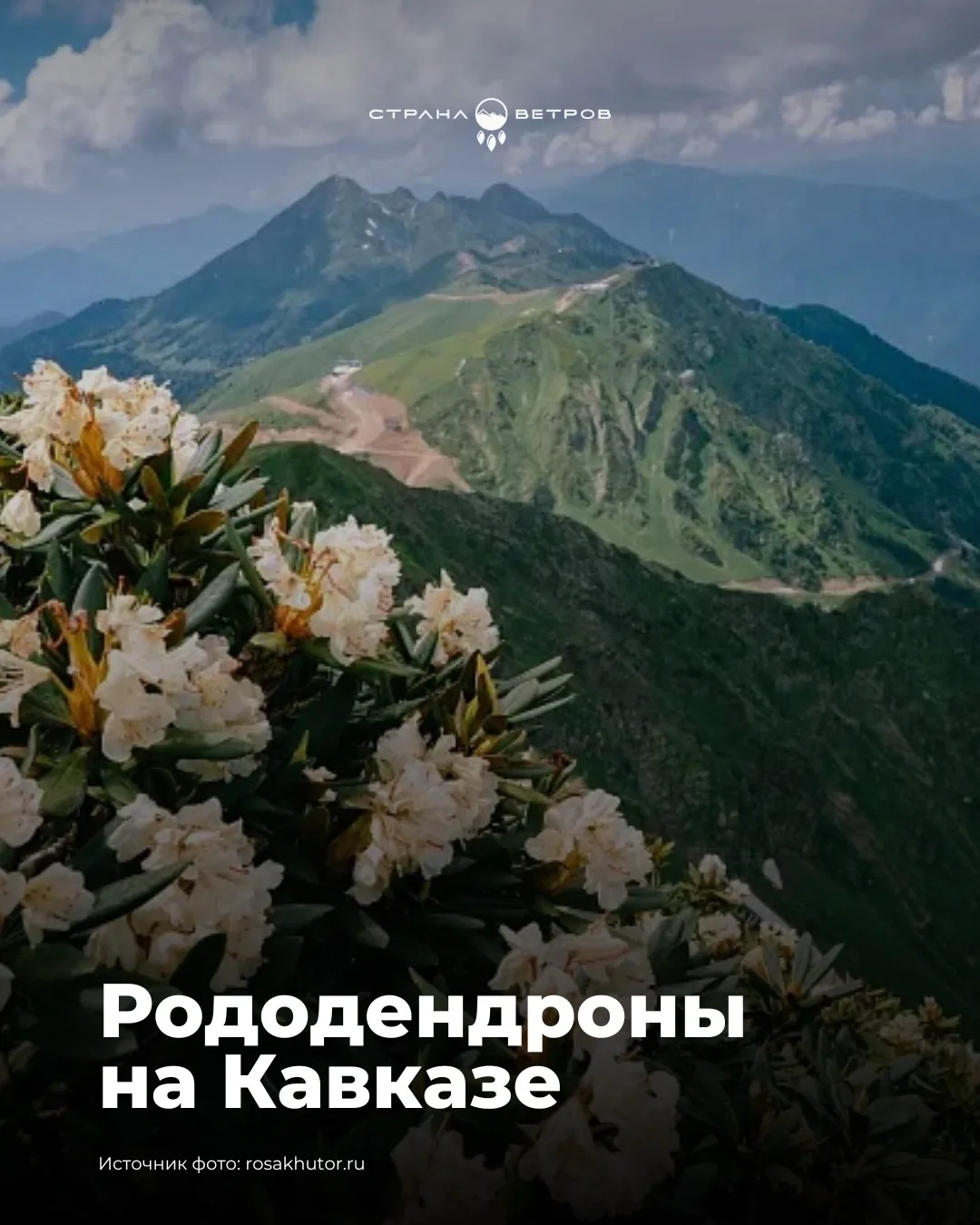 🏔️Цветения в горах, которые стоит увидеть хотя бы раз в жизни