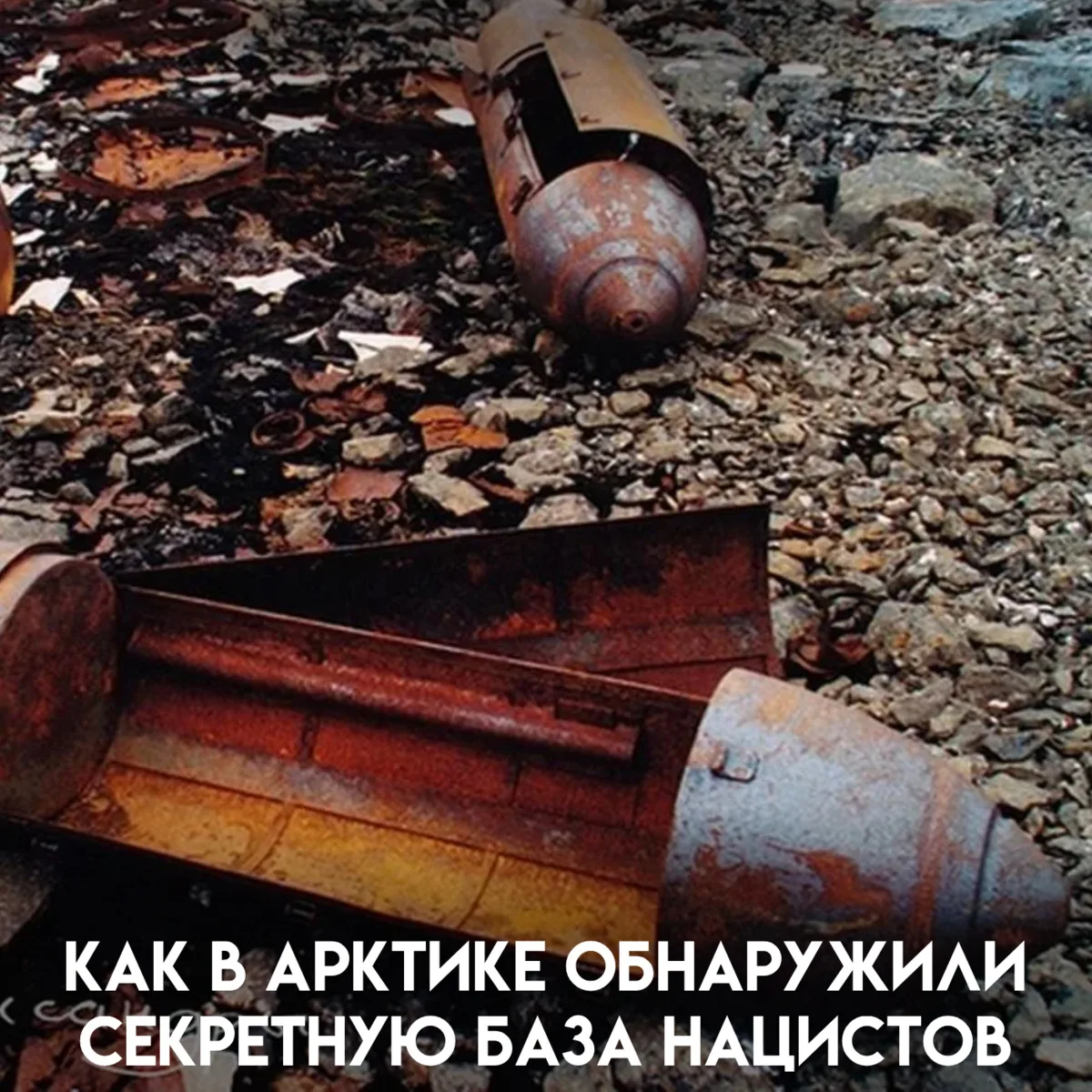В Арктике, в 1000 километрах от Северного полюса, на острове Земля Александры российски...