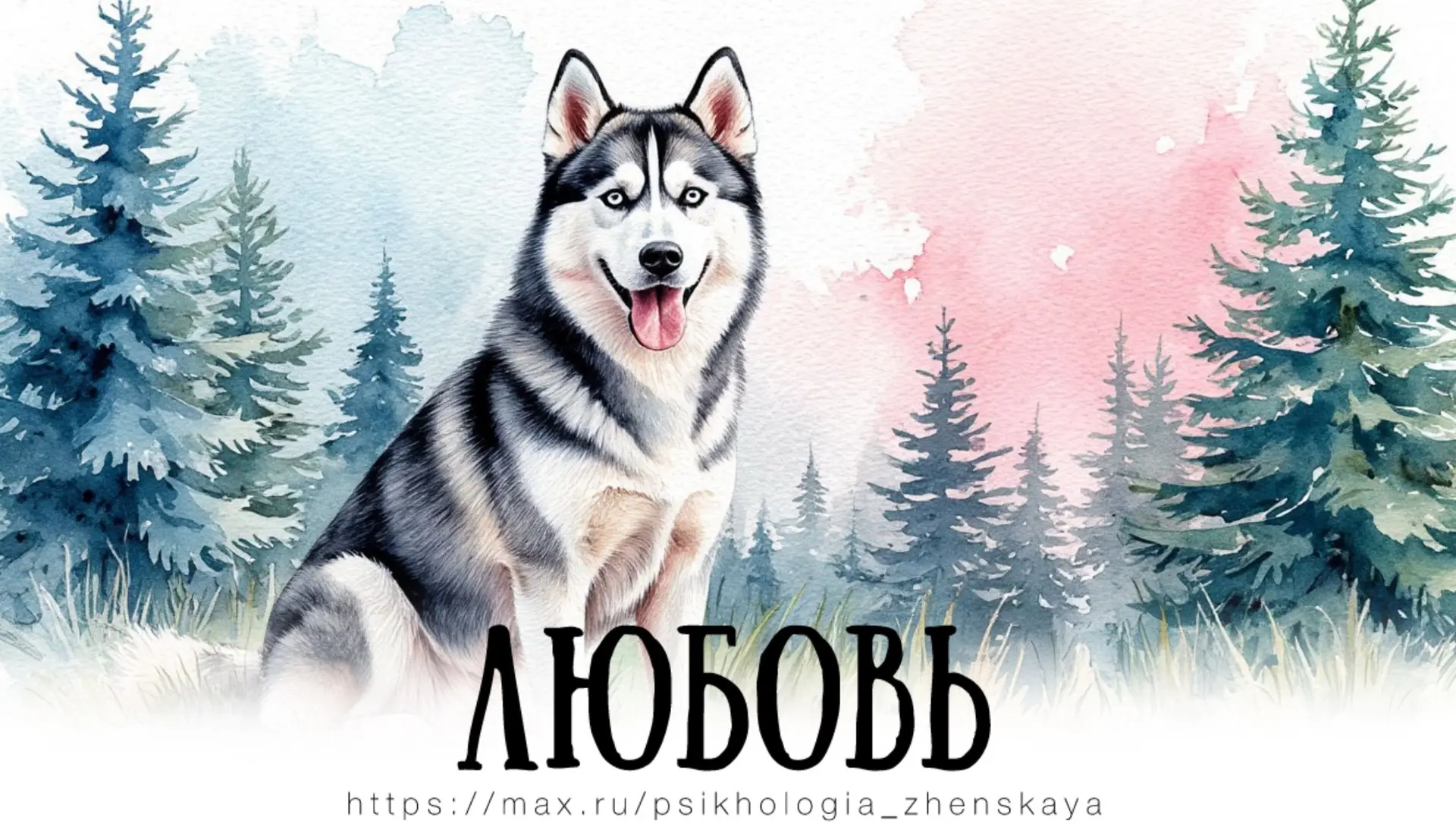 Он смотрел на неё издалека и даже не мечтал ни о чём. О чём мечтать? Тут поесть бы хоть раз за день 