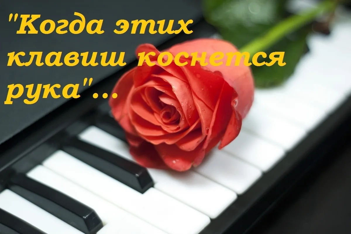 🎹«Когда этих клавиш коснется рука…»🎹