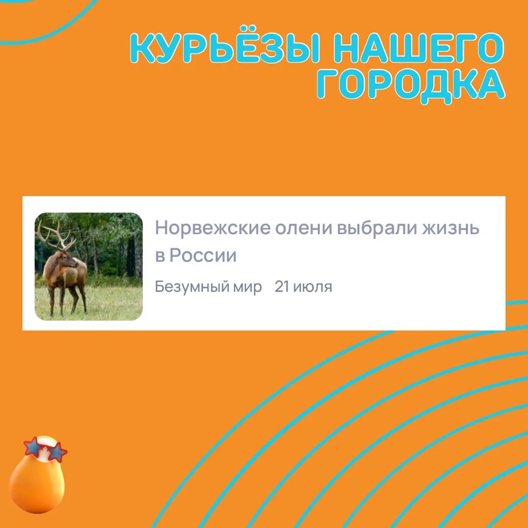 В погоне за лучшим 💅🏼💅🏼💅🏼