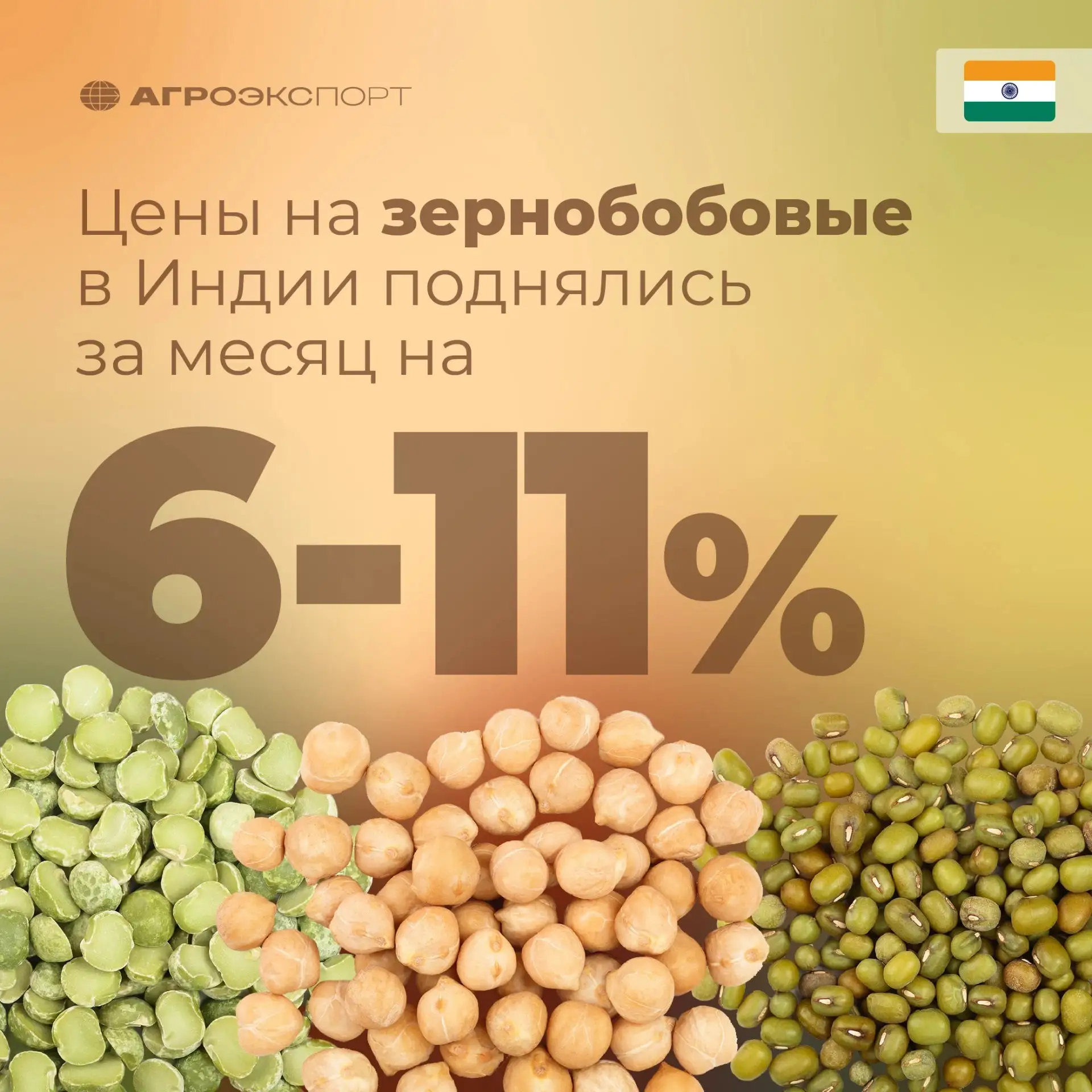 Цены на зернобобовые в Индии поднялись на 6–11% за месяц