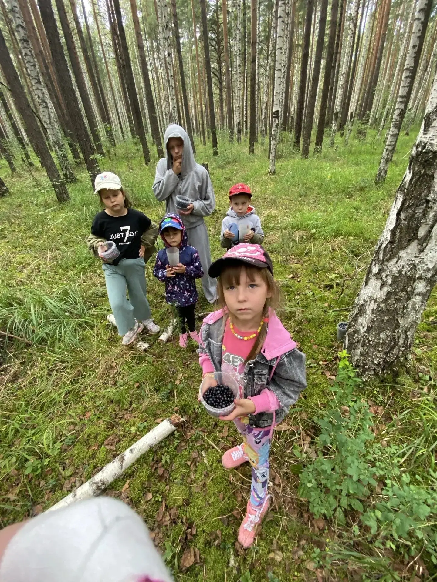 🌤В начале недели ребята вместе с воспитателями дождались хорошей погоды и сходили на л...