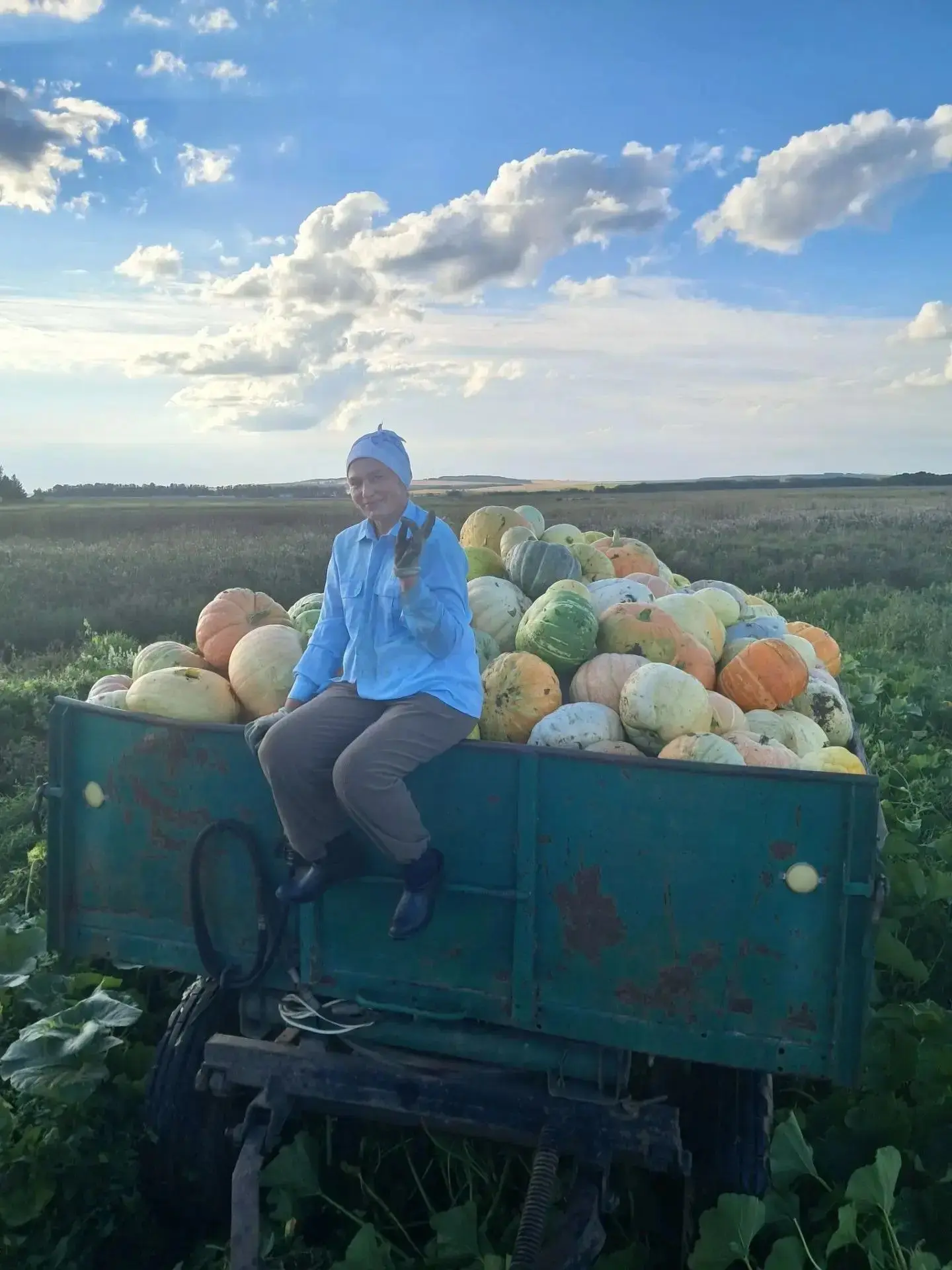 У нашей подписчицы Лилии Хадиуллиной — тыквенный бум! Глядя на этот натюрморт, сразу хо...