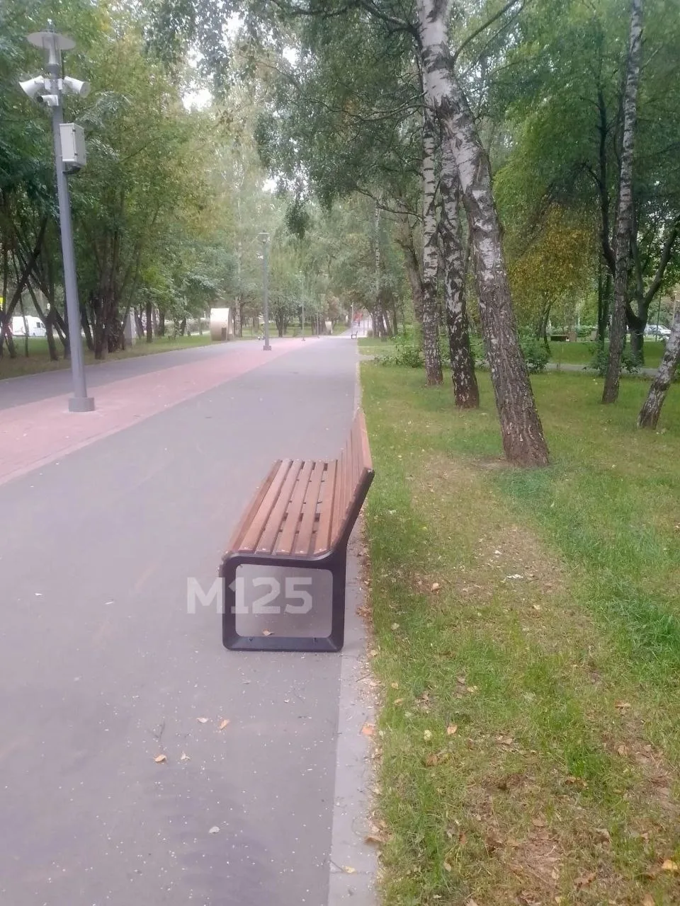 На Красной дорожке были замечены новые лавочки 👀