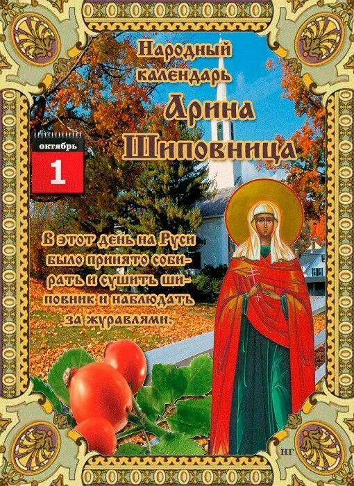 Наши каналы: