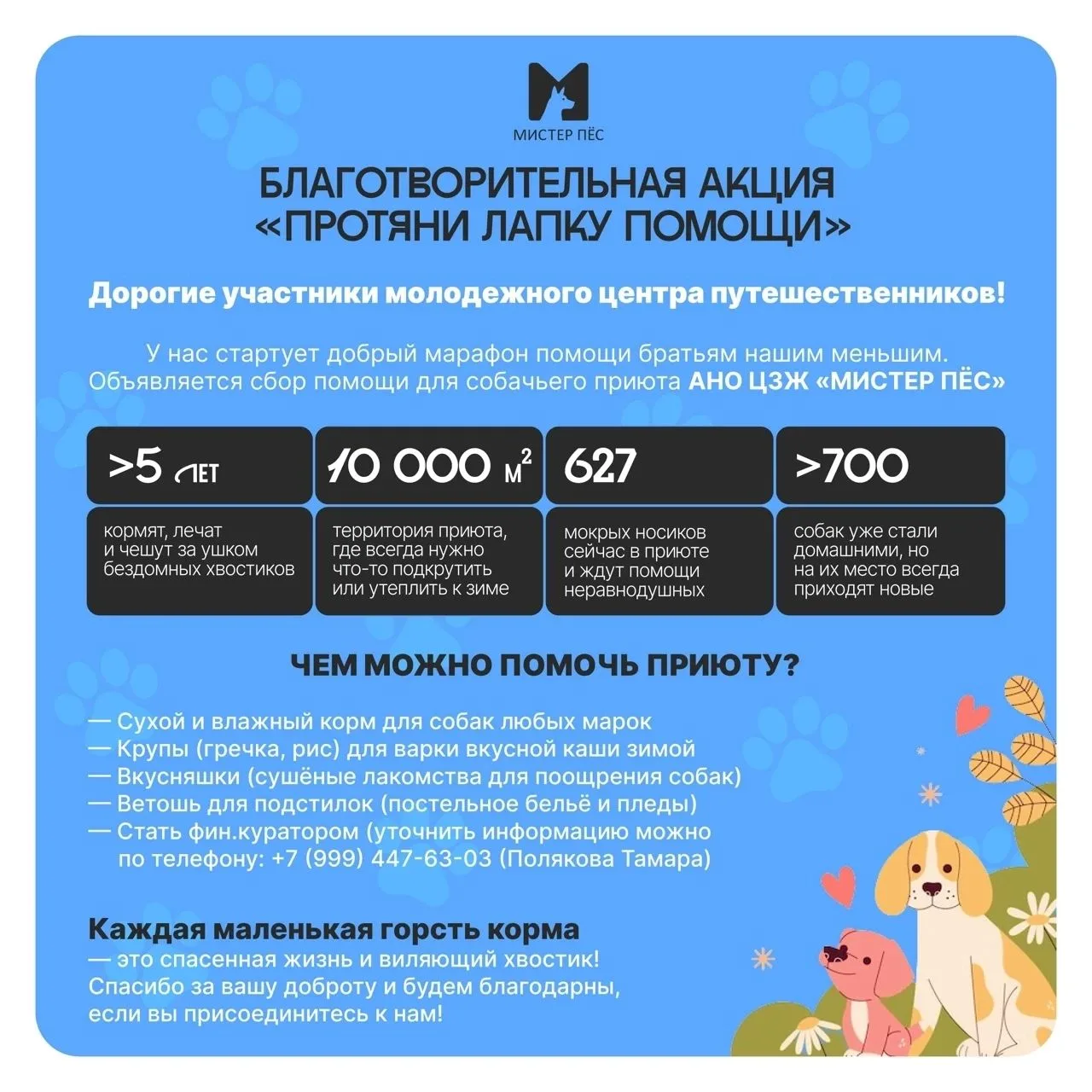 🐶 Добрые дела для хвостиков!