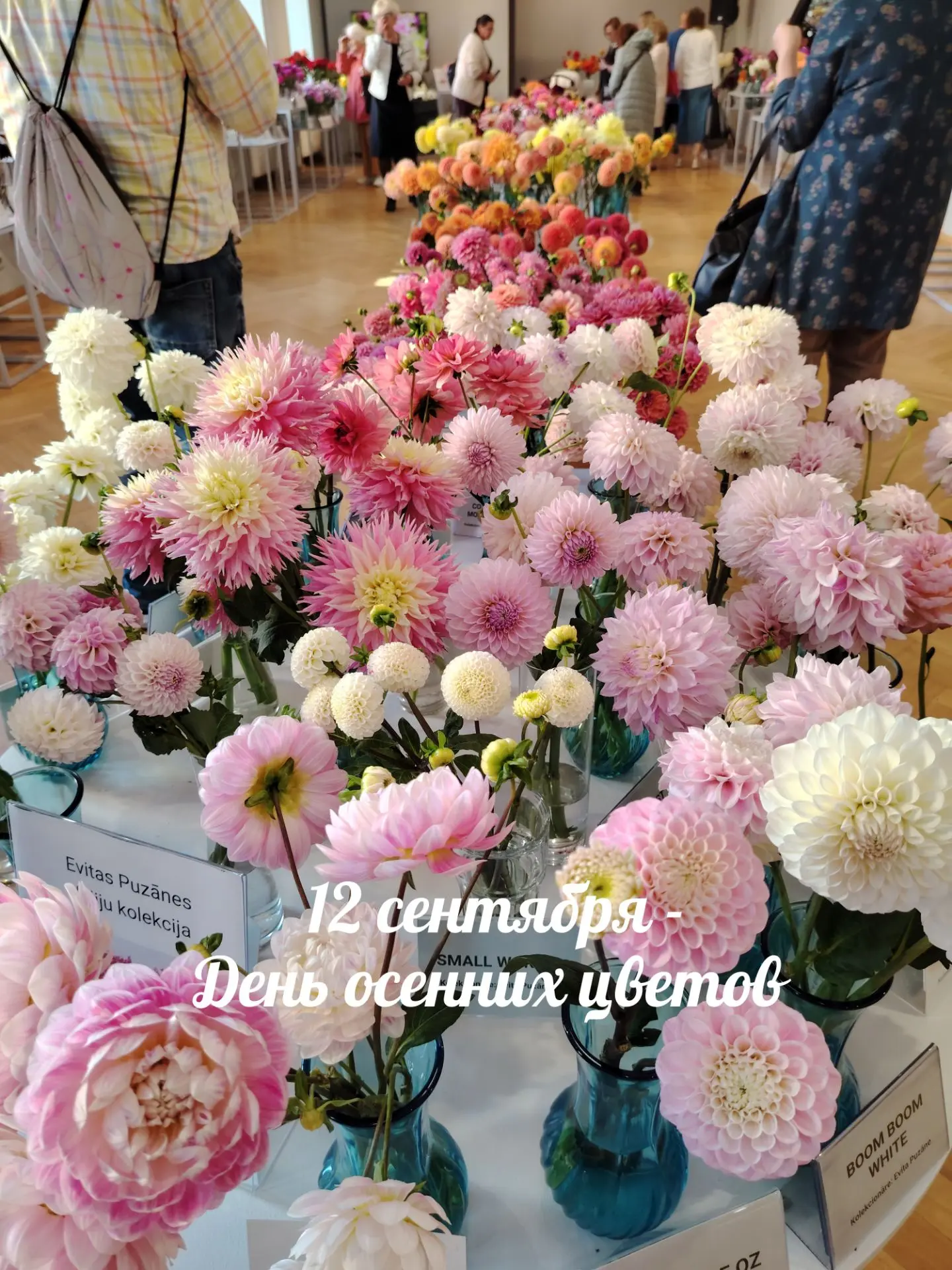 Сегодня День осенних цветов💓