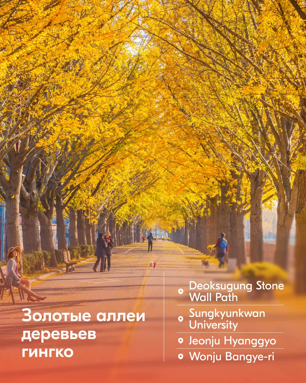 Изображение 3 к публикации «Ozon Travel»