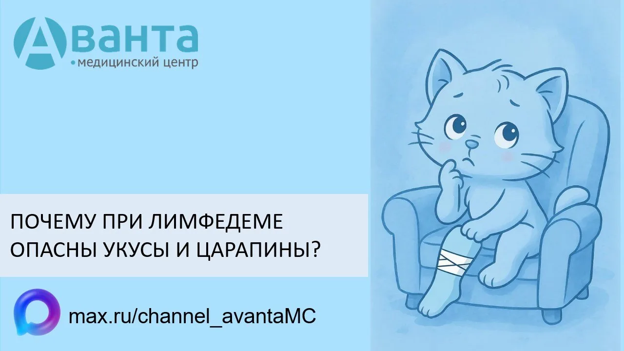 ПОЧЕМУ ПРИ ЛИМФЕДЕМЕ ОПАСНЫ УКУСЫ И ЦАРАПИНЫ?🩸