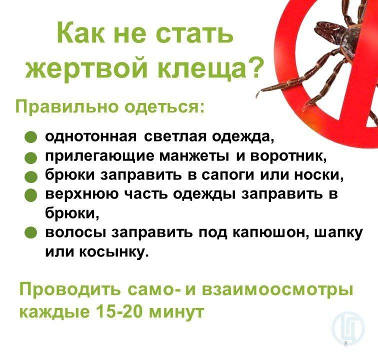 📌О ситуации по инфекциям, передающимися клещами в Курганской области