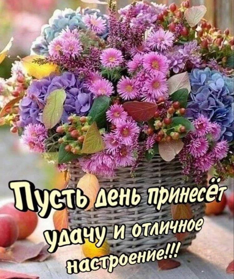 #ХорошегоДня