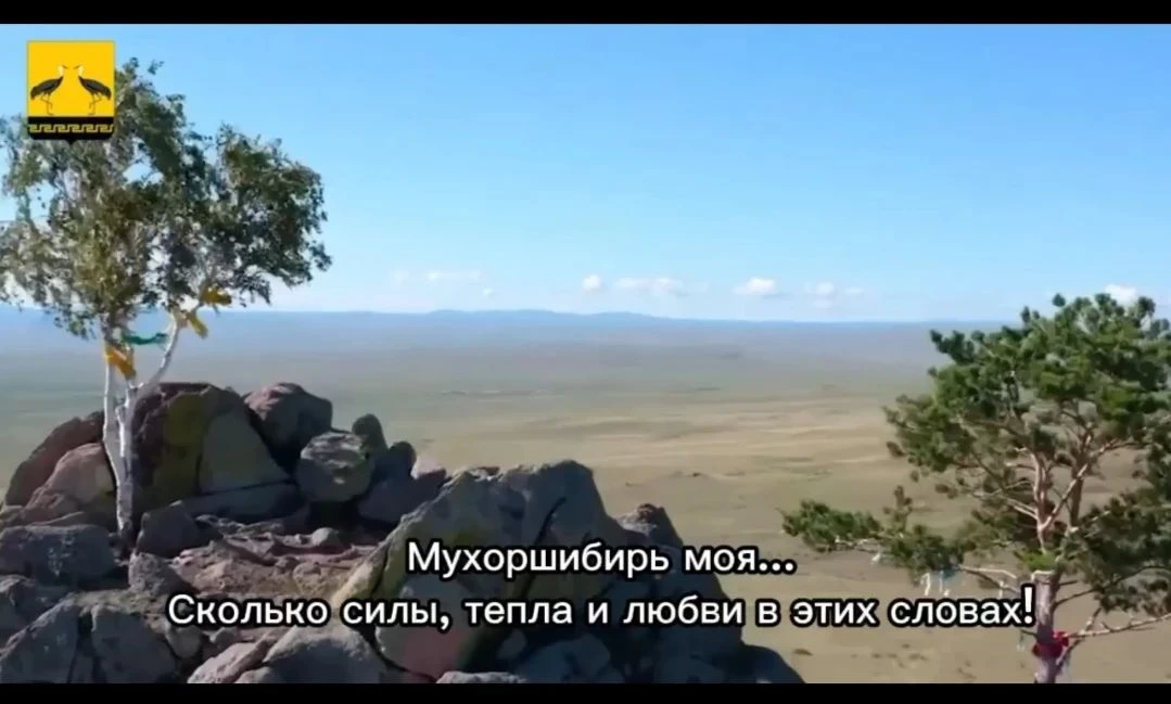 ГОЛОСОВАНИЕ ЗА ЛУЧШИЙ РОЛИК КОНКУРСА «СВОЁ. КТО СЛЕДУЮЩИЙ?» ОТКРЫТО!