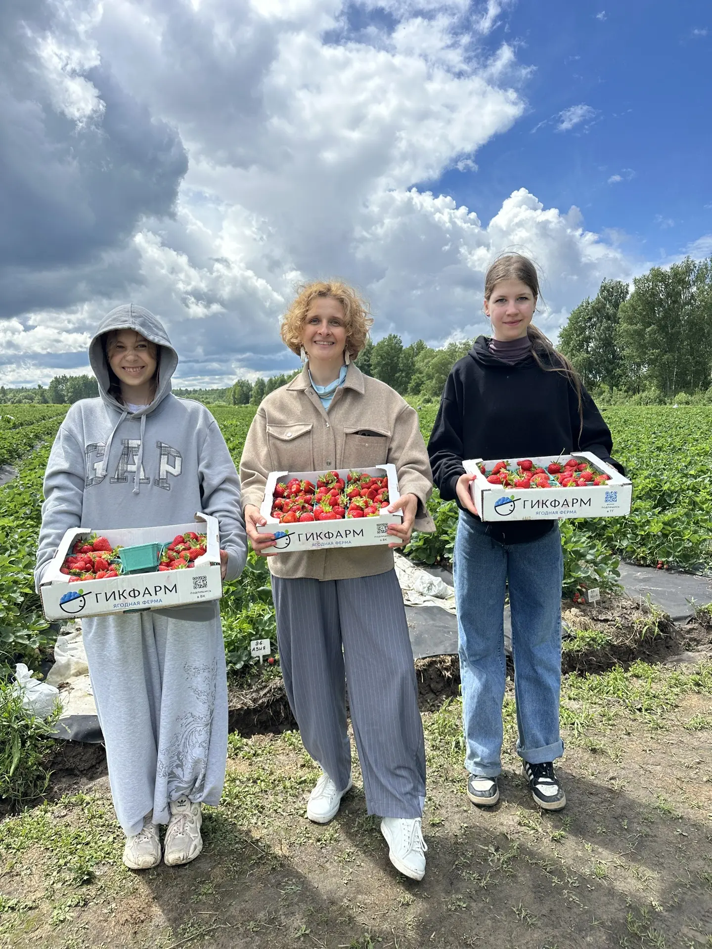 🍓 Самовывоз - это когда ты все вывозишь сам, без психолога. 

Самосбор - это когда ты собрался и са