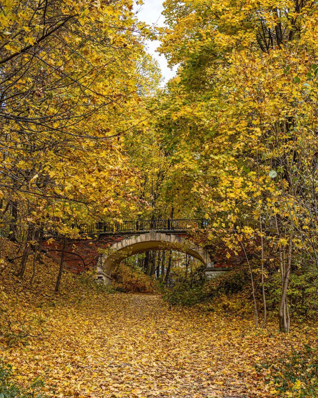 🌉 Мостик в усадьбе Суханово