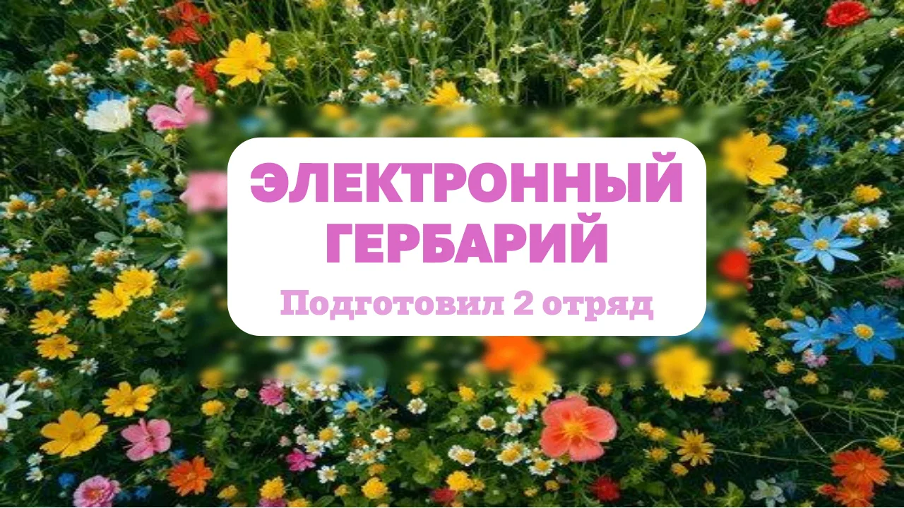 Гербарий 2 АРТ-ЛАБОРАТОРИИ! 💚