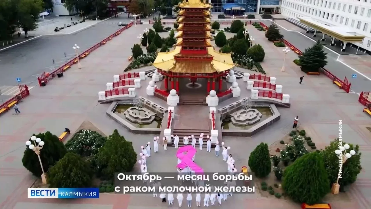 В Элисте прошла акция «Розовая лента»