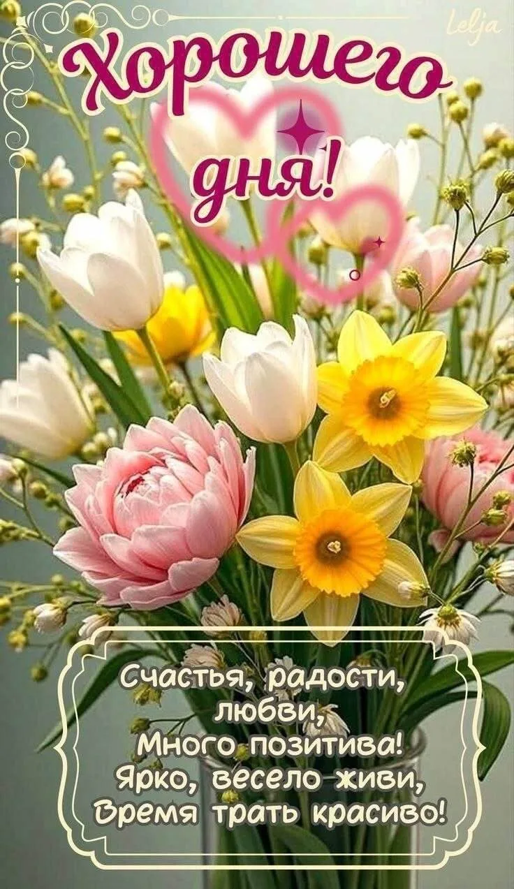 ОТКРЫТКИ