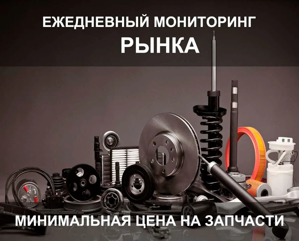 +79859095128
