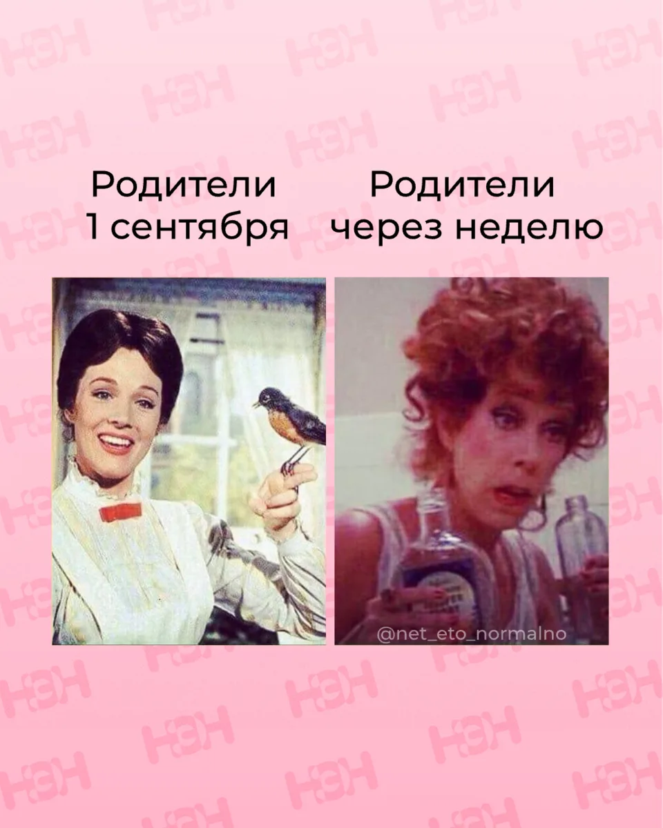 #мемы_нэн