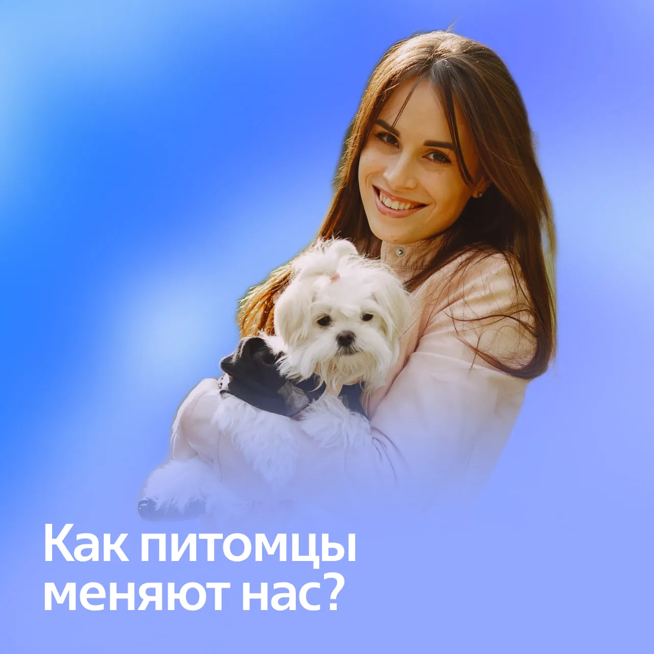 😎 Что говорит наука о пользе домашних животных

Домашние животные – это не только уют и преданность