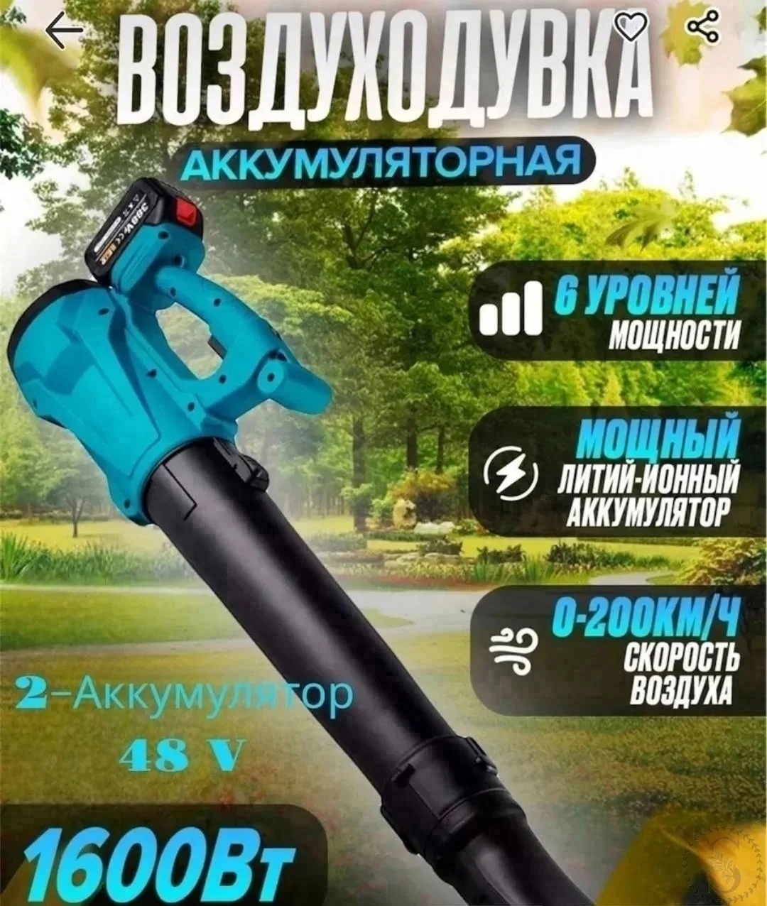 https://vk.com/photo-184814919_493452079