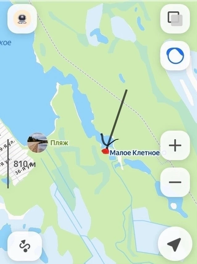 ‼️️🐻Под Северодвинском снова замечен медведь!